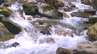 No Copyright Video, No Copyright Stock Footage, No Copyright Stock Video Clip