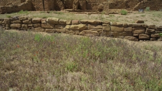 No Copyright Video, No Copyright Stock Footage, No Copyright Stock Video Clip