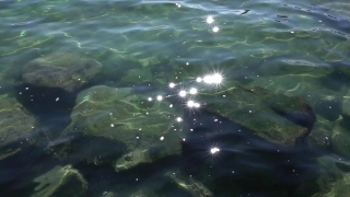 No Copyright Video, No Copyright Stock Footage, No Copyright Stock Video Clip