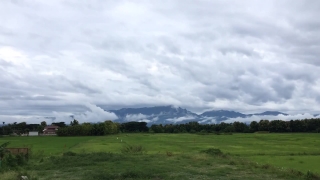 No Copyright Video, No Copyright Stock Footage, No Copyright Stock Video Clip