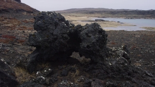 No Copyright Video, No Copyright Stock Footage, No Copyright Stock Video Clip