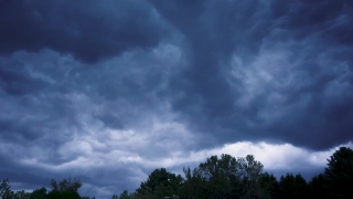 No Copyright Video, No Copyright Stock Footage, No Copyright Stock Video Clip