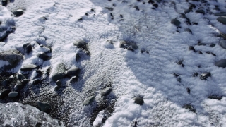 No Copyright Video, No Copyright Stock Footage, No Copyright Stock Video Clip