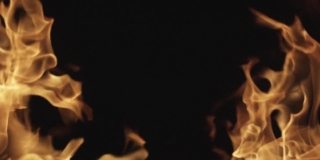 No Copyright Video, No Copyright Stock Footage, No Copyright Stock Video Clip