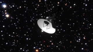 No Copyright Video, No Copyright Stock Footage, No Copyright Stock Video Clip