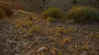 No Copyright Video, No Copyright Stock Footage, No Copyright Stock Video Clip