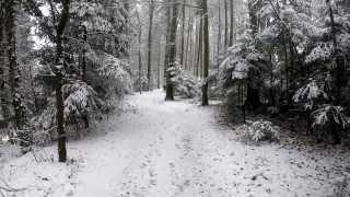 No Copyright Video, No Copyright Stock Footage, No Copyright Stock Video Clip