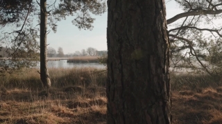 No Copyright Video, No Copyright Stock Footage, No Copyright Stock Video Clip