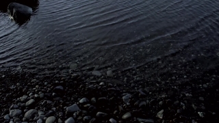 No Copyright Video, No Copyright Stock Footage, No Copyright Stock Video Clip