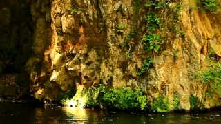 No Copyright Video, No Copyright Stock Footage, No Copyright Stock Video Clip