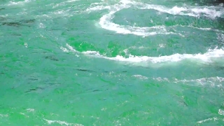 No Copyright Video, No Copyright Stock Footage, No Copyright Stock Video Clip