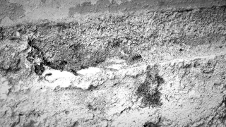 No Copyright Video, No Copyright Stock Footage, No Copyright Stock Video Clip