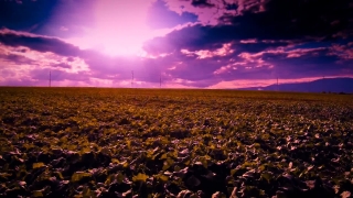 No Copyright Video, No Copyright Stock Footage, No Copyright Stock Video Clip