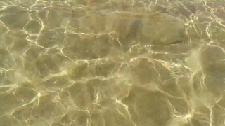 No Copyright Video, No Copyright Stock Footage, No Copyright Stock Video Clip