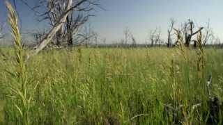 No Copyright Video, No Copyright Stock Footage, No Copyright Stock Video Clip