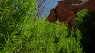 No Copyright Video, No Copyright Stock Footage, No Copyright Stock Video Clip