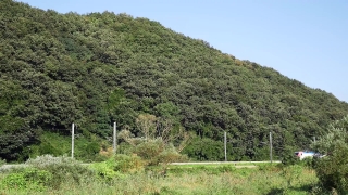 No Copyright Video, No Copyright Stock Footage, No Copyright Stock Video Clip