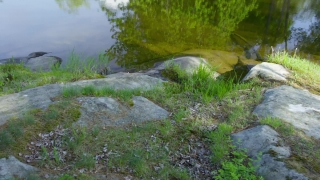 No Copyright Video, No Copyright Stock Footage, No Copyright Stock Video Clip