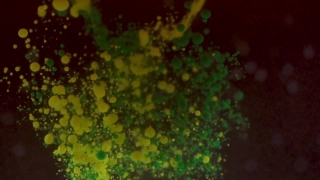 No Copyright Video, No Copyright Stock Footage, No Copyright Stock Video Clip