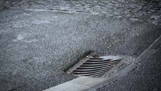 No Copyright Video, No Copyright Stock Footage, No Copyright Stock Video Clip