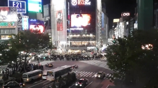 No Copyright Video, No Copyright Stock Footage, No Copyright Stock Video Clip