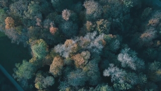 No Copyright Video, No Copyright Stock Footage, No Copyright Stock Video Clip