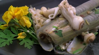 No Copyright Video, No Copyright Stock Footage, No Copyright Stock Video Clip