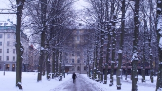 No Copyright Video, No Copyright Stock Footage, No Copyright Stock Video Clip