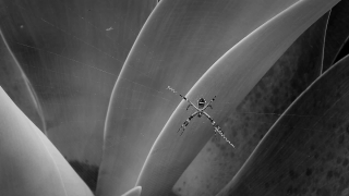 No Copyright Video, No Copyright Stock Footage, No Copyright Stock Video Clip