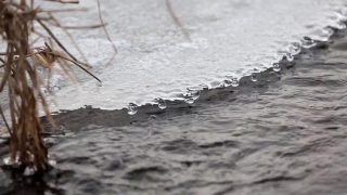 No Copyright Video, No Copyright Stock Footage, No Copyright Stock Video Clip