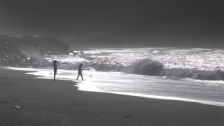 No Copyright Video, No Copyright Stock Footage, No Copyright Stock Video Clip