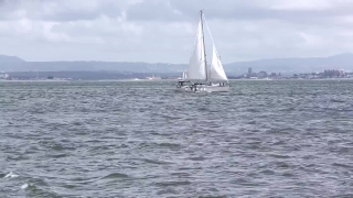 No Copyright Video, No Copyright Stock Footage, No Copyright Stock Video Clip