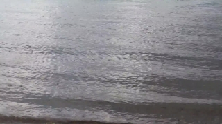 No Copyright Video, No Copyright Stock Footage, No Copyright Stock Video Clip