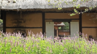 No Copyright Video, No Copyright Stock Footage, No Copyright Stock Video Clip