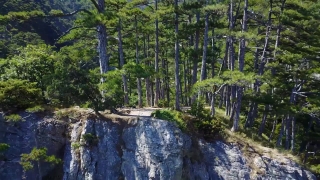 No Copyright Video, No Copyright Stock Footage, No Copyright Stock Video Clip