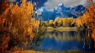 No Copyright Video, No Copyright Stock Footage, No Copyright Stock Video Clip