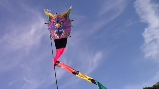 No Copyright Video, No Copyright Stock Footage, No Copyright Stock Video Clip