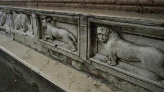 No Copyright Video, No Copyright Stock Footage, No Copyright Stock Video Clip