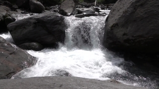 No Copyright Video, No Copyright Stock Footage, No Copyright Stock Video Clip