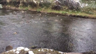 No Copyright Video, No Copyright Stock Footage, No Copyright Stock Video Clip