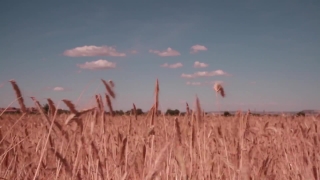 No Copyright Video, No Copyright Stock Footage, No Copyright Stock Video Clip