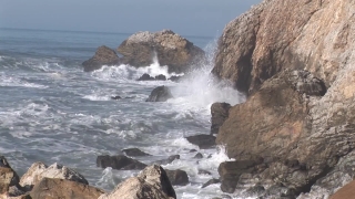 No Copyright Video, No Copyright Stock Footage, No Copyright Stock Video Clip