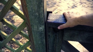 No Copyright Video, No Copyright Stock Footage, No Copyright Stock Video Clip