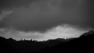 No Copyright Video, No Copyright Stock Footage, No Copyright Stock Video Clip