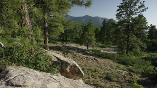 No Copyright Video, No Copyright Stock Footage, No Copyright Stock Video Clip