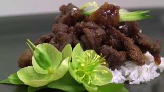 No Copyright Video, No Copyright Stock Footage, No Copyright Stock Video Clip