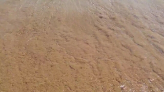 No Copyright Video, No Copyright Stock Footage, No Copyright Stock Video Clip