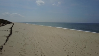 No Copyright Video, No Copyright Stock Footage, No Copyright Stock Video Clip