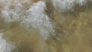 No Copyright Video, No Copyright Stock Footage, No Copyright Stock Video Clip