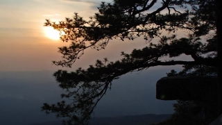 No Copyright Video, No Copyright Stock Footage, No Copyright Stock Video Clip